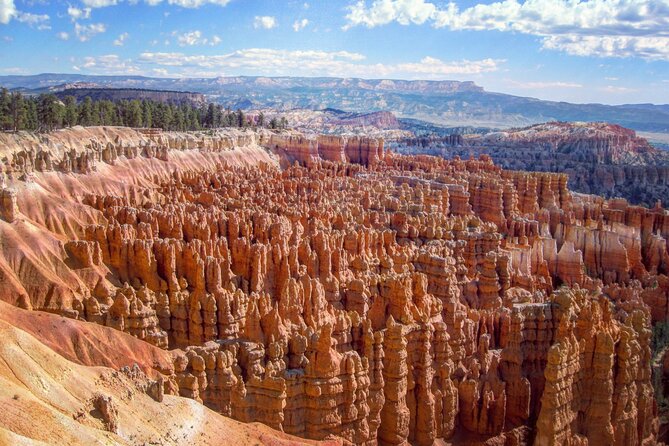 6-Day Famous West Coast National Parks Tour From SF