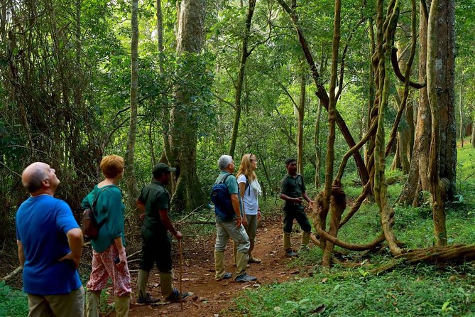 6-Day Kerala Private Tour: Periyar Wildlife Sanctuary - Tour Highlights