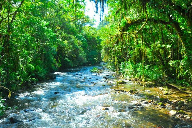 6-Day São Paulo Tour: From City, Waterfalls and Caves – (Petar)