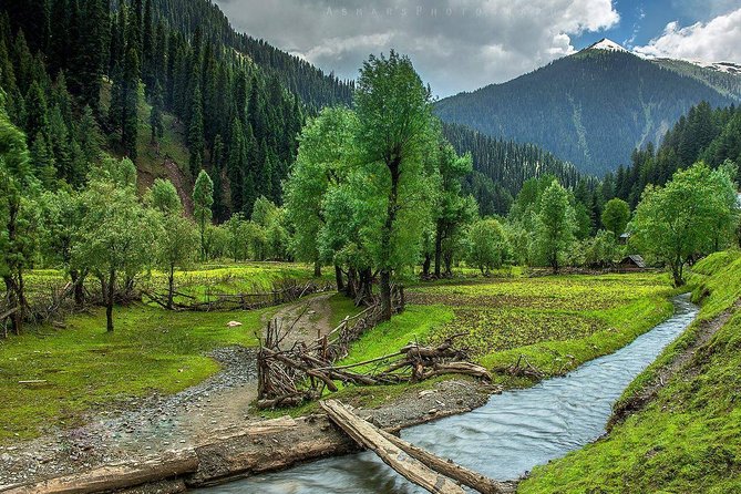 6 Days and 5 Nights Private Tour of Kashmir
