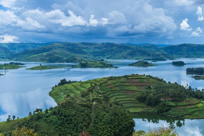 6 Days Uganda Gorilla, Chimps Trekking and Wildlife Safari - Tour Overview