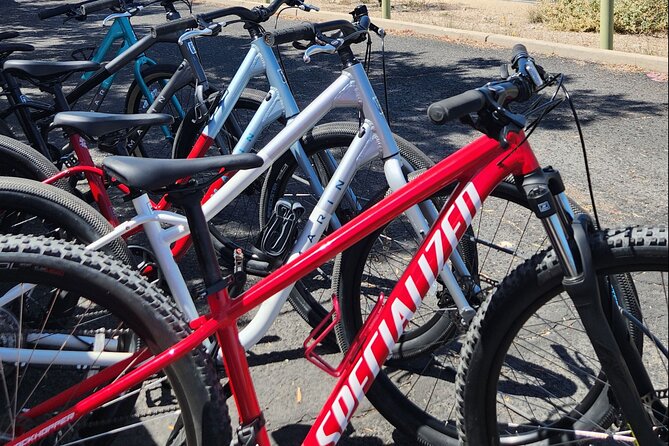6-Hour Regular Bike Rental From Tucson