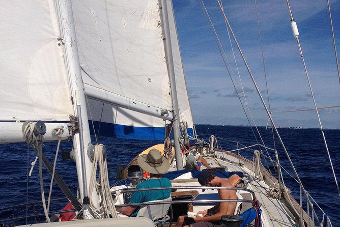 6 Hour Sailing Tour of Vineyard Haven Harbor and Sound