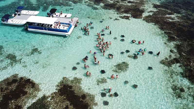 6-Hours Guided Stingray Tour in the East Coast of Antigua - Activity Highlights