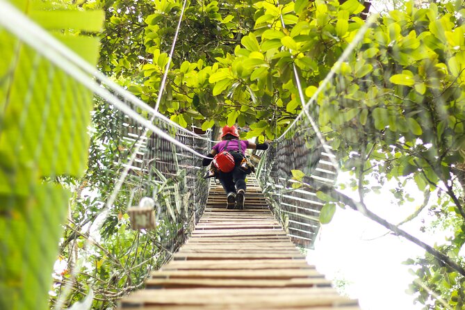 60M Tree Climbing Experience With Descent in Tarzan or Rapel
