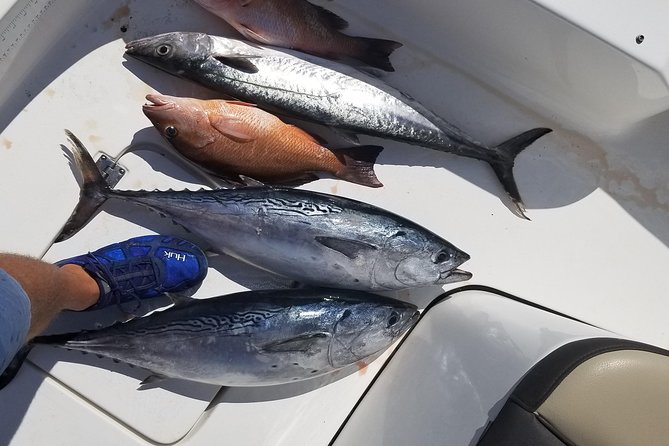 6HR Fishing Charter - Charter Overview