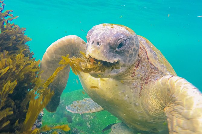 7-Day Galapagos Essentials