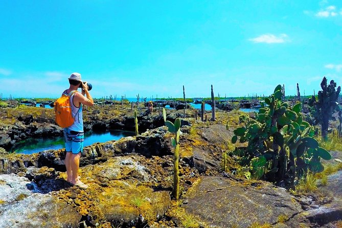 10 Best Tours In Galapagos Islands