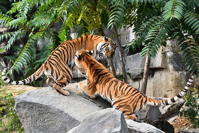 7 Day Golden Triangle Tour With Wildlife -Taj, Tigers, & Birds