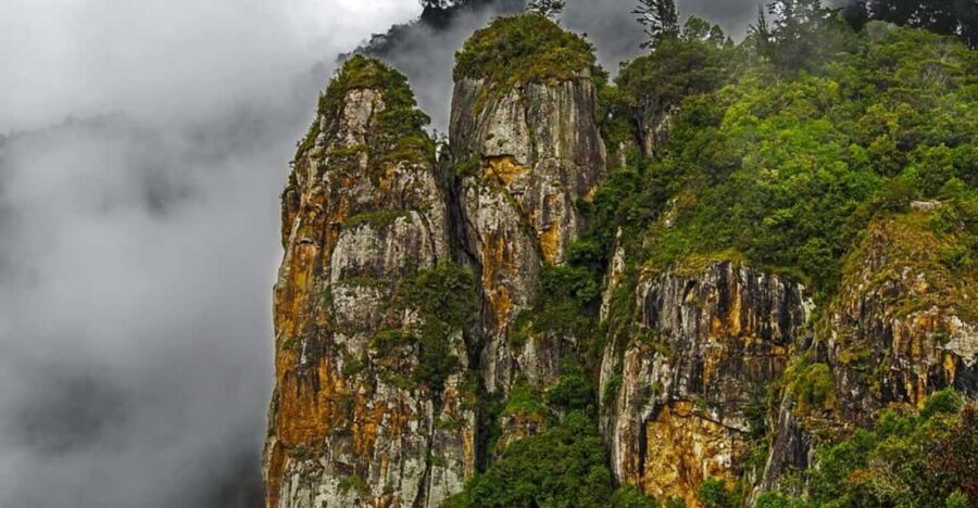 2 Best Private Car With Driver Services in Munnar