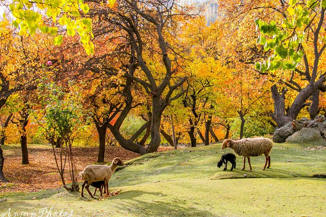 7-Days Autumn Tour to Hunza Valley