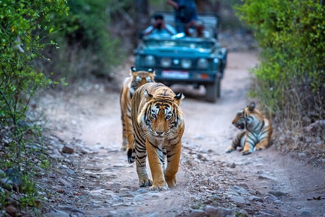 7 Days Golden Triangle Tour With Ranthambore & Varanasi Tour