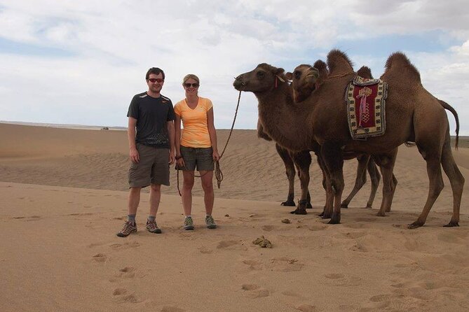 7 Days Great Gobi Tour - Tour Overview