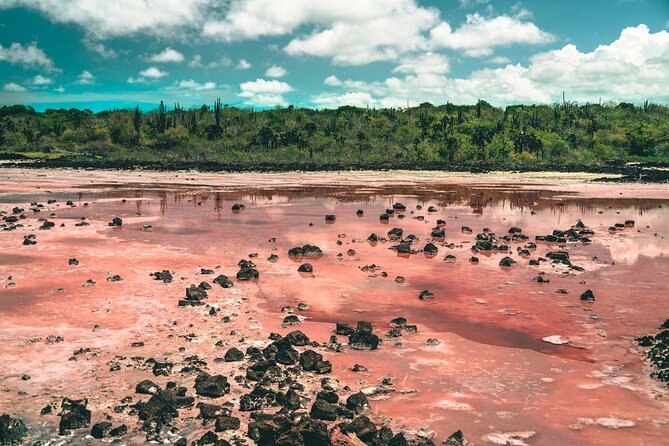 7 Days Tour in Quito and Santa Cruz/Galapagos – Best of Ecuador