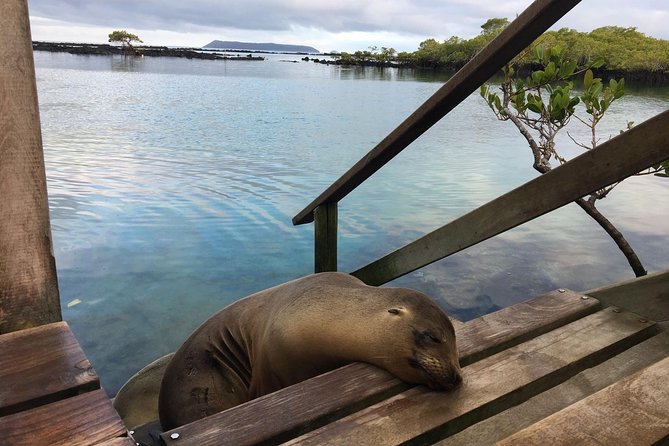 2 Best Snorkeling Experiences In Galapagos Islands