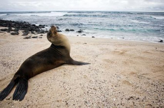8-Day Galapagos Multisport: San Cristobal, Isabela and Santa Cruz