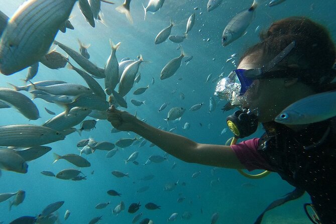 8-Hour Scuba Diving Experience in Side With Lunch