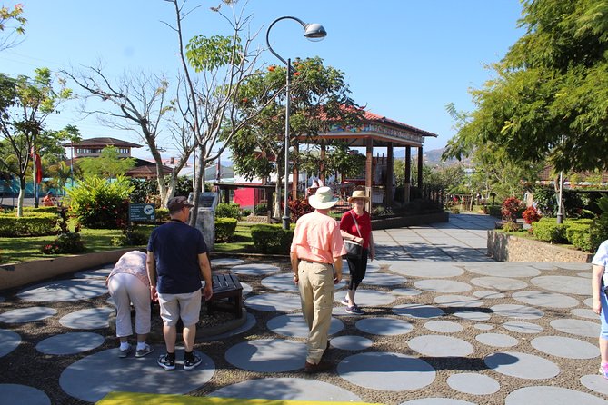 9-Day Best of Northwest Costa Rica From San Jose: Arenal Volcano National Park, Monteverde Cloud Forest and Guanacaste