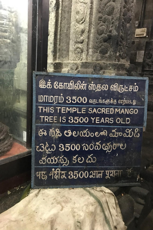 A Private Trip to Kanchipuram & Mahabalipuram From Chennai - Tour Overview