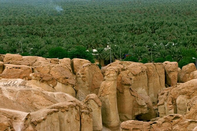 A Tour in Al Ahsa the Largest Oasis in the World