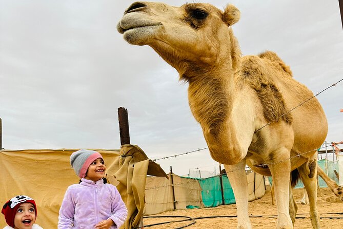 Abu Dhabi: 4x4 Desert Safari With Camel Raid & Quad Bike Option