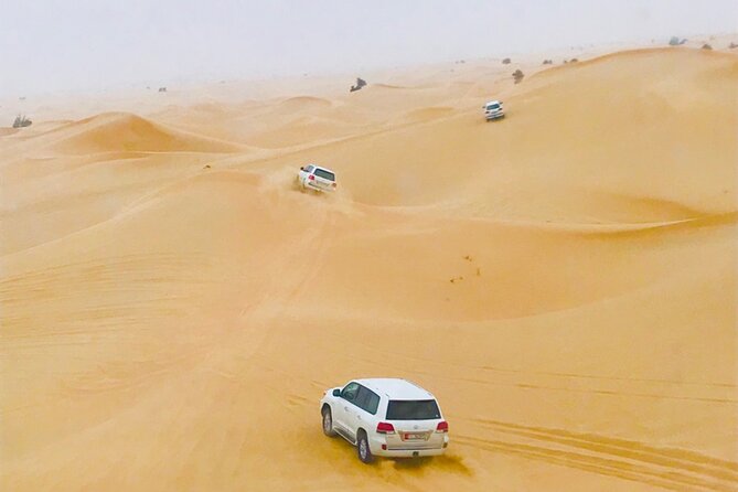 Abu Dhabi City Tour and Desert Safari