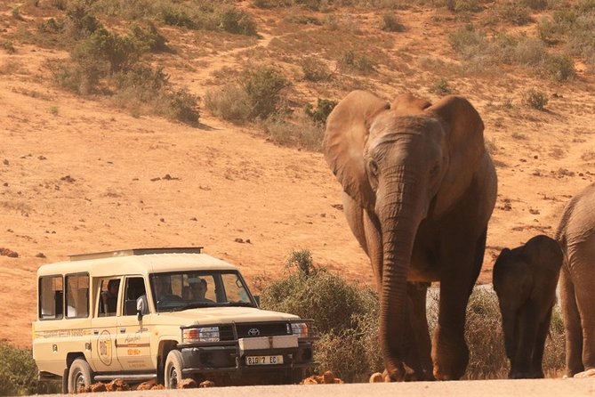 2 Best National Parks Tours In Port Elizabeth