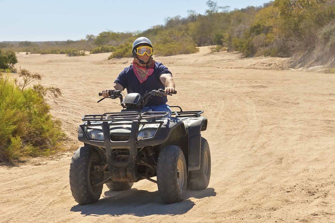 Adventure Tour: Quad Safari From Kusadasi Port / Hotels