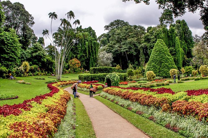 Adventures of the Last Kingdom of Sri Lanka