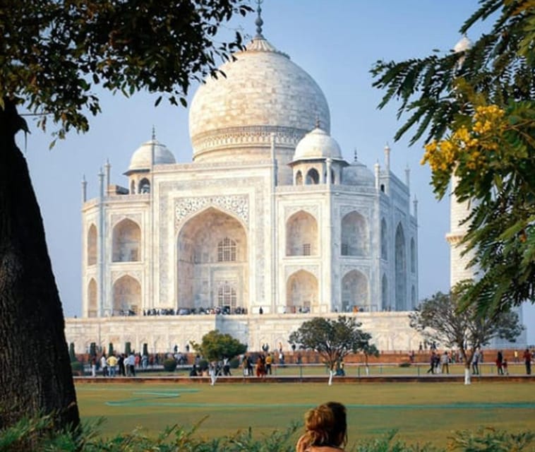 Agra in a Day: History and Culture Tour From Delhi