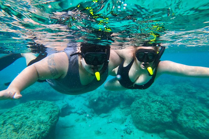 Aguadilla Tropical Snorkeling