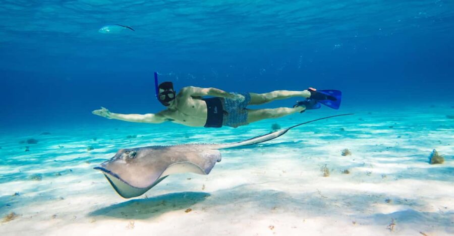 Akumal: Bay Snorkeling Tour