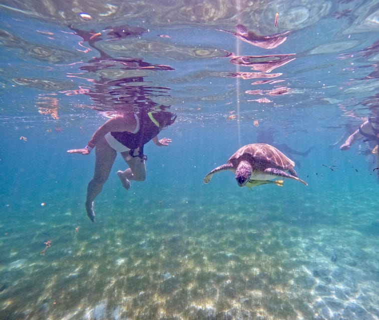 Akumal; Snorkeling and Photos With Turtles