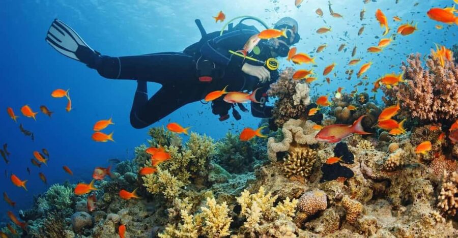 Alanya:Scuba Diving Boat Trip With Lunch and Transfer