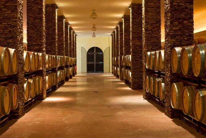 Alentejo Wine Tour From the Algarve - Itinerary Highlights