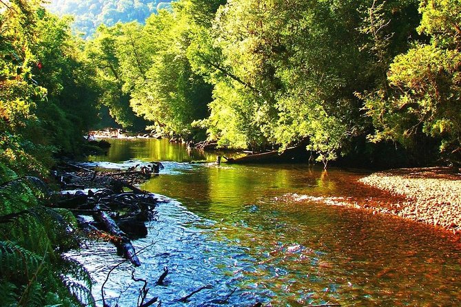 Alerce Andino National Park.