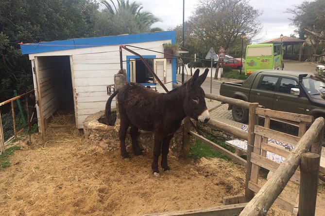 Algarve Jeep Safari - Half Day Trip Morning - Tour Overview