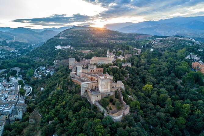 Alhambra Private Tour and Skip the Line Ticket and Official Guide - Pricing and Availability