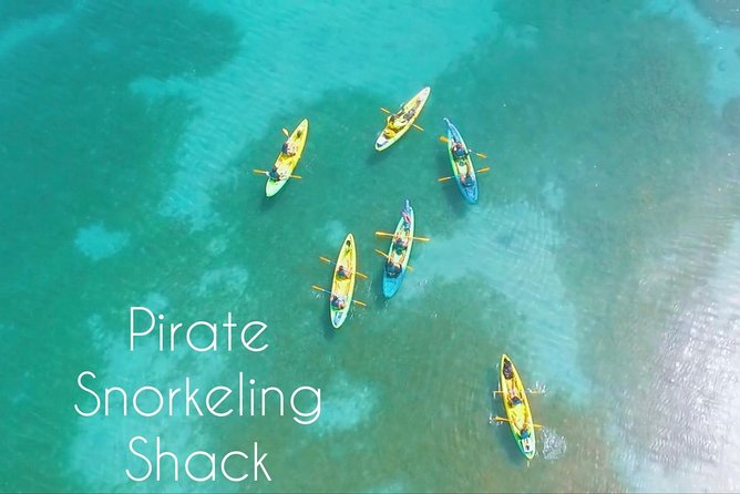 All Day Kayak Rental in Puerto Rico