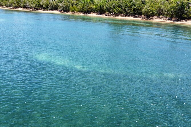 2 Best Snorkeling Experiences In Puerto Rico