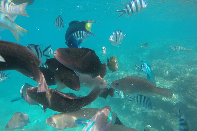 All Inclusive Bali Snorkeling Blue Lagoon With Gate Heaven