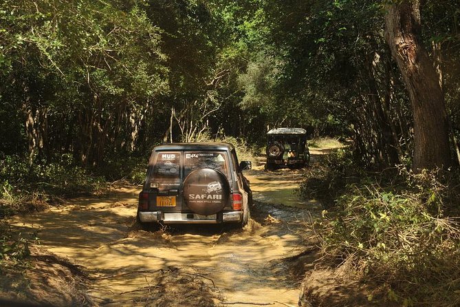 All Inclusive – Full Day Wilpattu National Park Safari