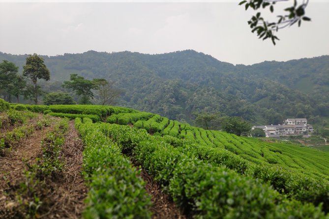 All-Inclusive Private Day Tour to Hangzhou by Bullet Train