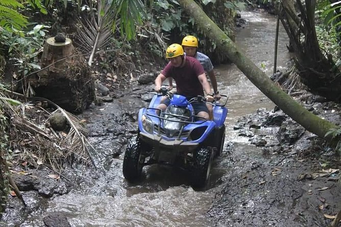 3 Best Quad Bike And ATV Tours In Nusa Penida