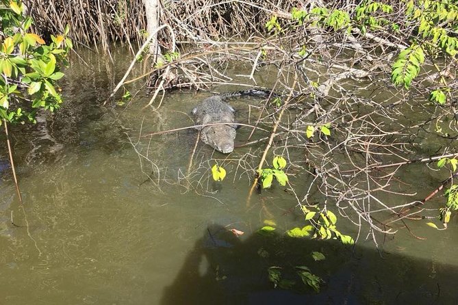 Altun Ha Mayan Ruins and River Wallace and Manatee Watch Tour