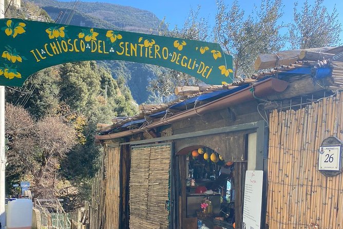 Amalfi Coast Tour From Sorrento: Private Day Trip With Local Driver