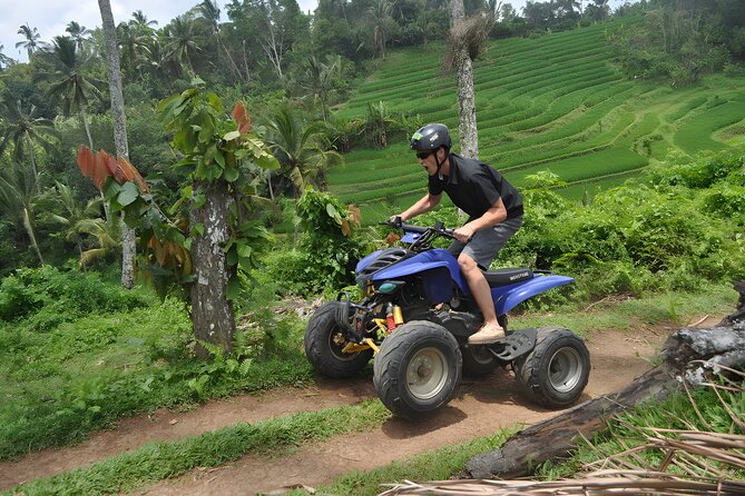 Amazing 2 Hours Bali Quad Bike Adventure With Buffet Lunch - Inclusions and Highlights