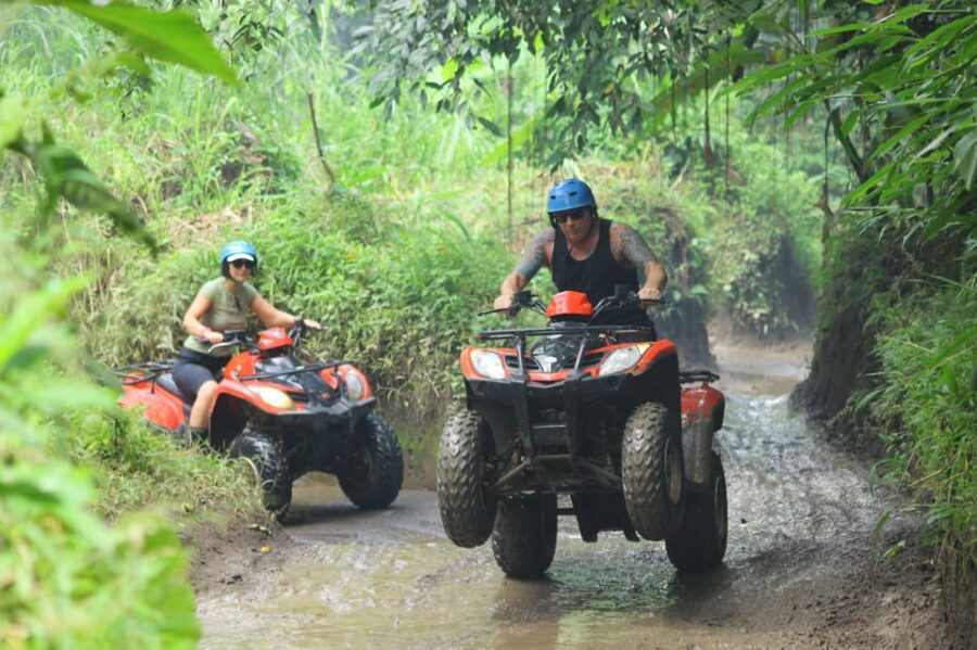 Amazing Quad Bike Adventure With Ubud Tour
