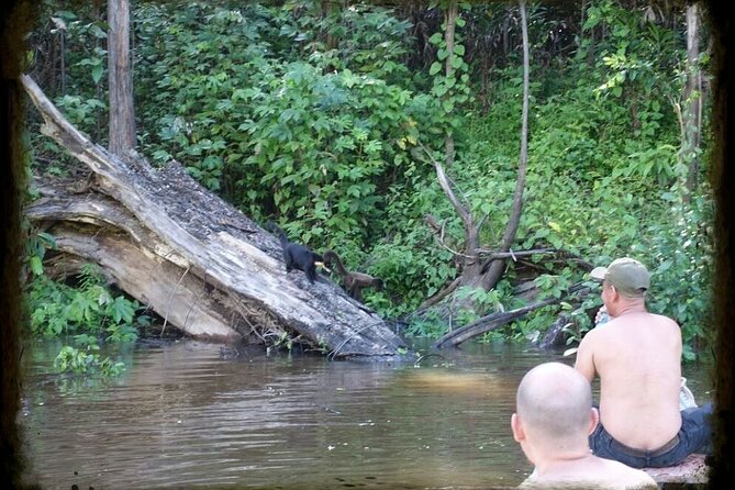 Amazon Extreme Adventure 4/ Days /3 Nights 480 Usd