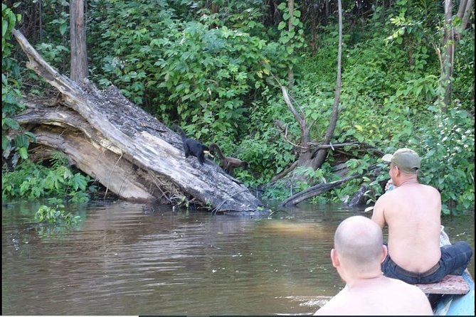 Amazon Paradise Adventure 3/ Days 2/ Nights 360 Usd